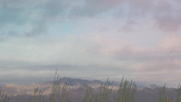1000040912