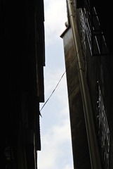 1000081412