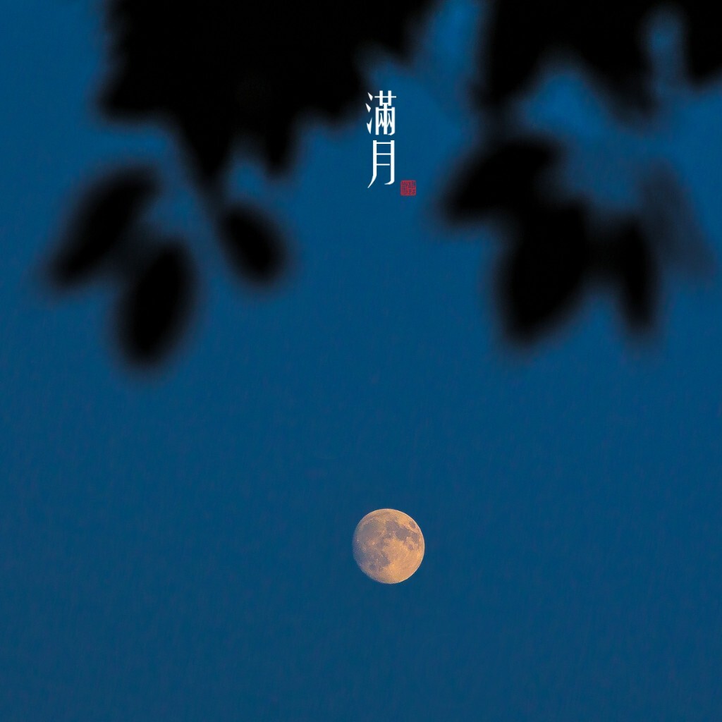 塘栖水乡节05