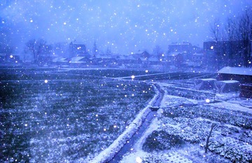 DSC02904a.jpg
