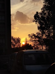 1000060576