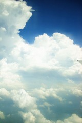 S5002010.JPG