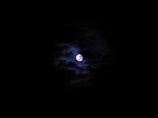 1688734