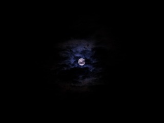 1688731