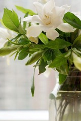 DSC00580.JPG
