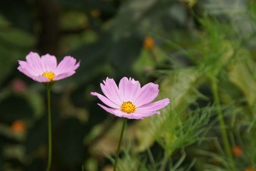 DSC01091.JPG