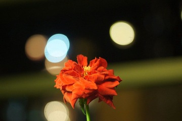 DSC01944.JPG