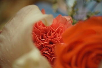 DSC02180.JPG