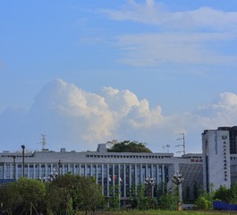 1000023540