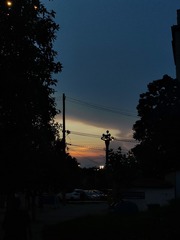 1000073566