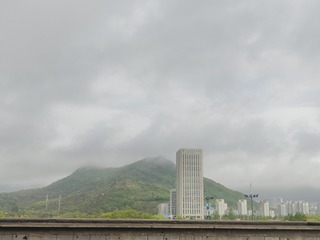 1000006388