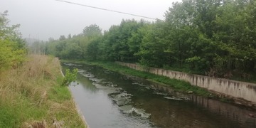 IMG_20240422_100431