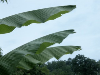 1000040522