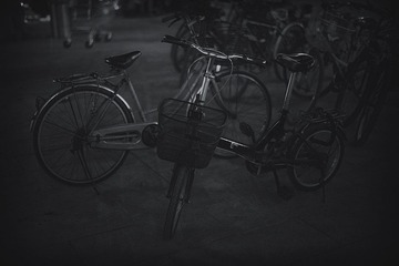 IMG_0873(2).jpg