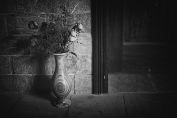 IMG_7125(2).jpg