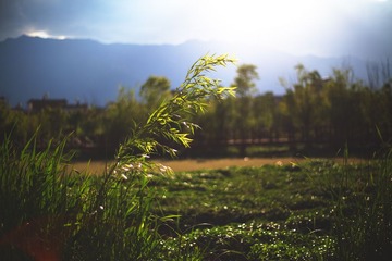 IMG_7452(2).jpg