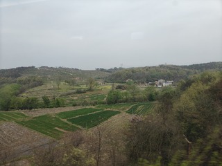 1000011041