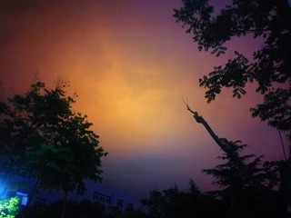 1280256