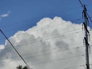 1000025246