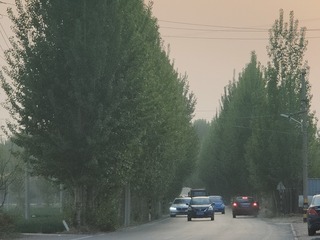 1000025061