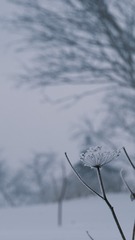 25130