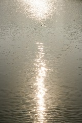 1000053515