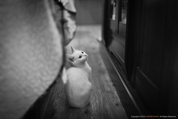 CAS_3135-编辑-2.jpg