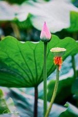 DSCF2167-编辑