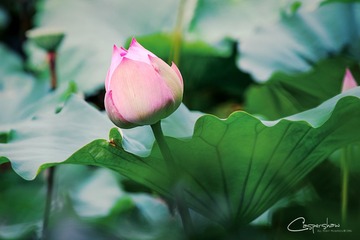 DSCF2171-编辑