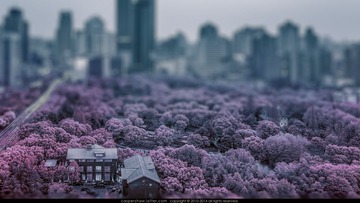 DSCF4838-编辑