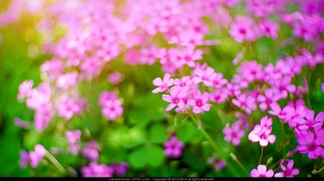 DSCF5505-编辑