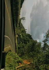 1000180545