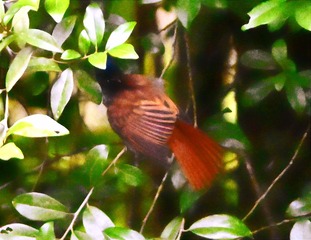 IMG_20240708_061214