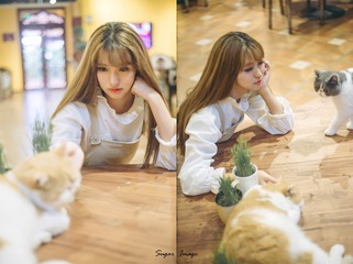 秋刀鱼的滋味 猫跟你都想了解