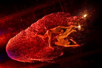 HLR_6444