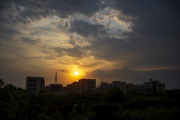 1000061103