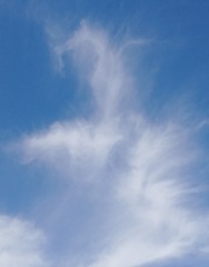 1259057