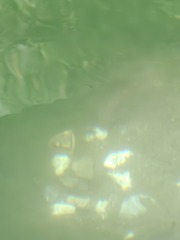 1000008429