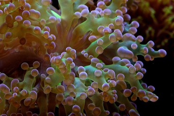 326A6795.jpg
