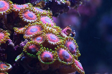 326A6799.jpg