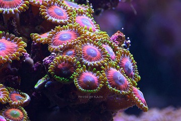 326A6805.jpg