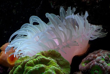 326A6824.jpg