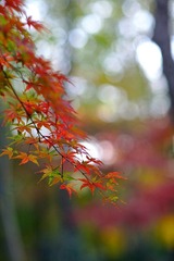 326A7040.jpg