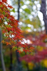 326A7041.jpg