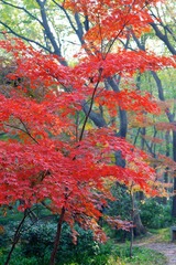 326A7044.jpg