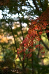326A7056.jpg