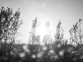 IMG_0234 副本.JPG