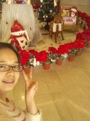 IMG_20121212_121451.jpg