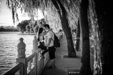 houhai-5