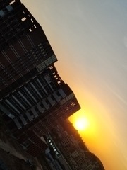 1000017577